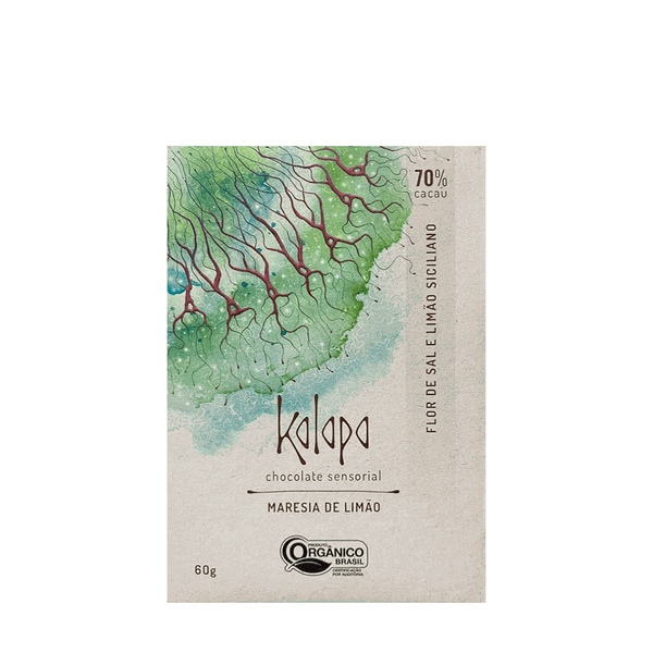 Chocolate Vegano Flor de Sal e Limão Kalapa – 60g