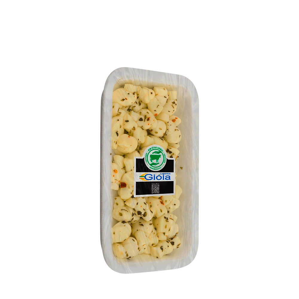 Queijo Mussarela Nozinho Gióia – 320g