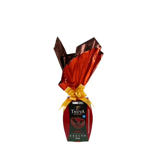Ovo de Chocolate Crocante de Avelã Zero Açúcar Tnuva – 200g