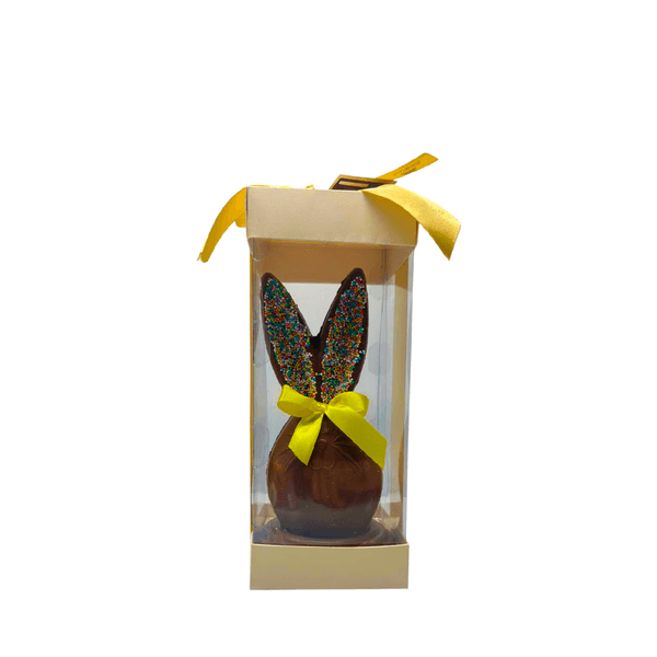 Ovo Chocolate Bunny Fruto do Cacau - 300g