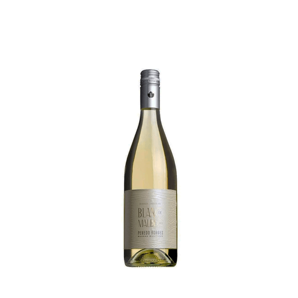 Vinho Blanc de Malbec Penedo Borges – 750ml