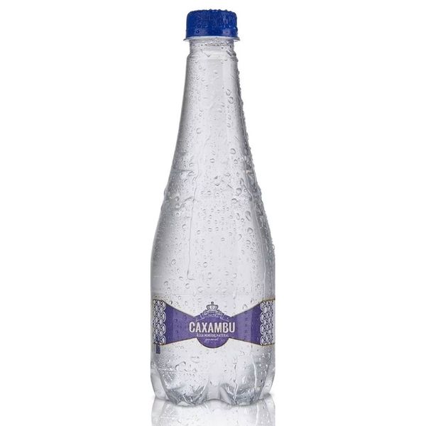Água Mineral Sem Gás Caxambu 330ml