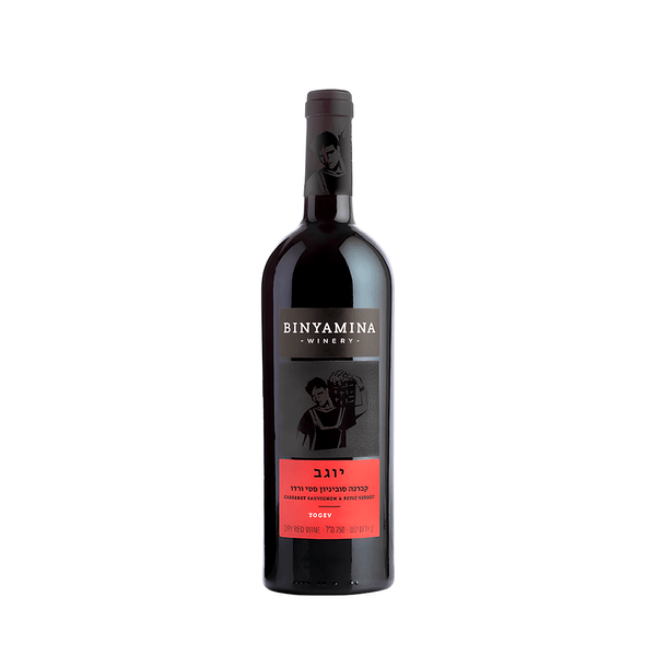 Vinho Binyamina Petit Verdot & Cabernet Sauvignon - 750ml