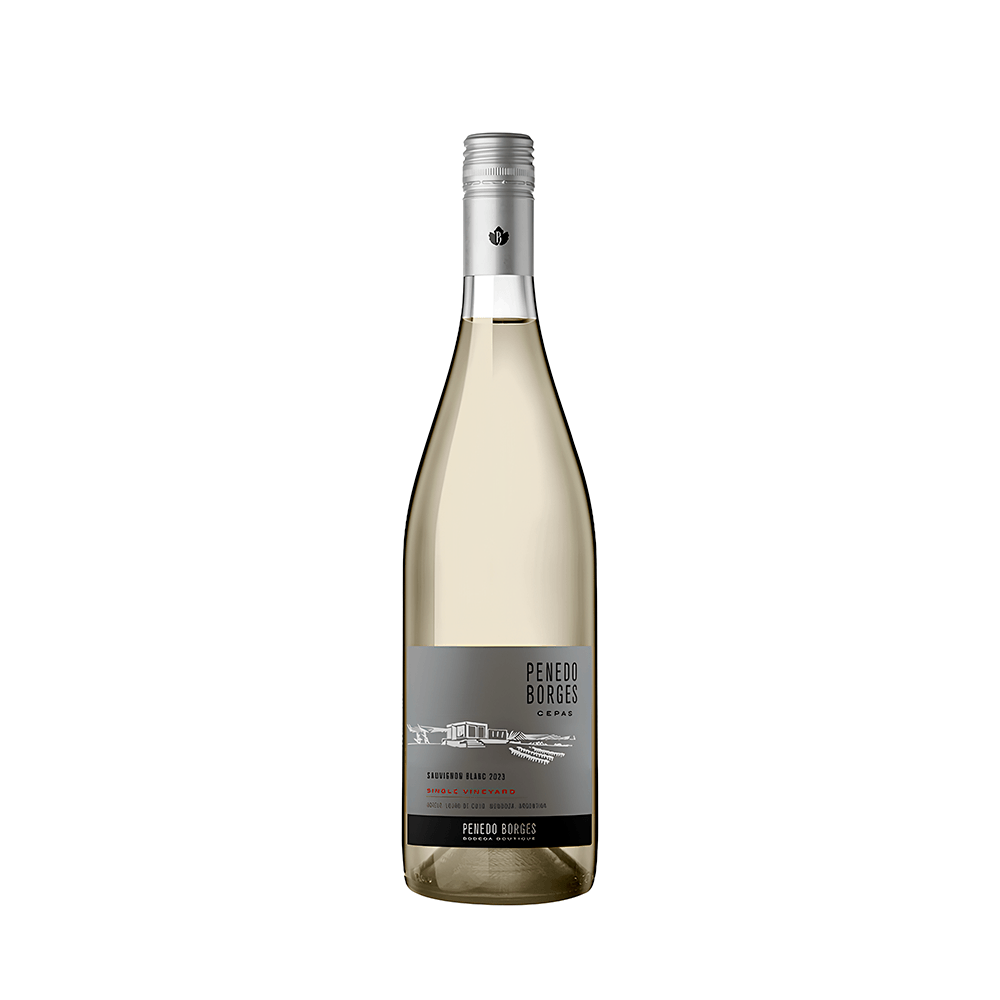 Vinho Penedo Borges Cepas Sauvignon Blanc Branco - 750ml